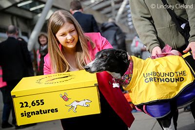 Rescued greyhound Joy outside Scottish Parliament with MSP.